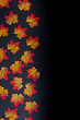 © Яна Бутик - Autumn leaves on black background