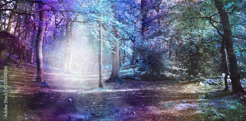 Fototapeta Otherworldly Visitation Ethereal Woodland Scene - wide multicoloured woodland sc