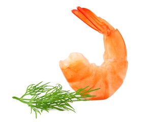 Wall Mural - one shrimp with rosemary isolated on a white background