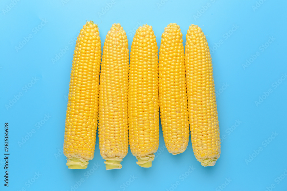 Fresh corn cobs on color background
