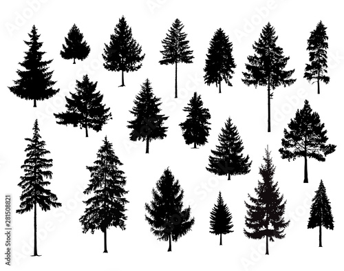 Cuadros en Lienzo Set. Silhouettes of pine trees. Hand made.
