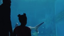 Father With Little Girl At Aquarium Looking At Shark Tank Teaching Curious Child About Sea Life Dad Showing Daughter Dangerous Marine Animals In Oceanarium