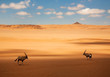 © Mint Images - Oryx standing in desert