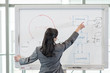 © Mint Images - Rear view of businesswoman pointing at diagram on white board