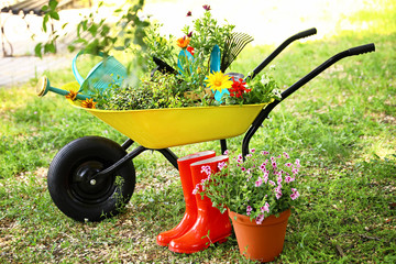 Wheelbarrow with gardening tools and flowers on grass outside