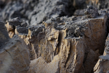 Wall Mural - some crack on drying soil surface