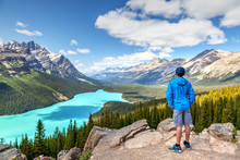 Peyto Lake In Banff National Park On Icefields Parkway