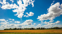 Sunny Spring Day In Countryside. Agricultural Land, Blue Sky With Clouds.