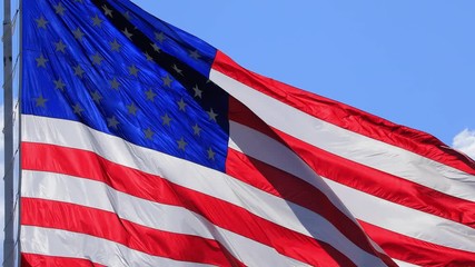 Wall Mural - the flag of the united states of american blowing in the wind