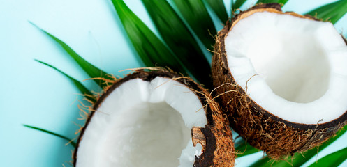 Composition with fresh coconuts on palm leaves on turquoise blue light background with copy space. Exotic botanical concept for cosmetics, spa, health care products