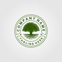 Vintage Trees Logo Illustration Design