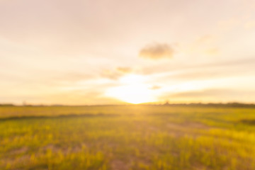 lawn at sunset blurry background