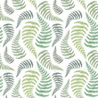 Fern backdrop. Hand drawn seamless pattern with sketch style fern branch. Green on white, vector background.