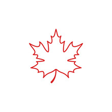 Maple Leaf Logo Template Vector Icon Illustration