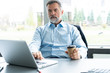 © opolja - Senior businessman working on laptop computer