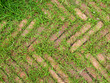 © srckomkrit - brick pavement floor with graan grass texture