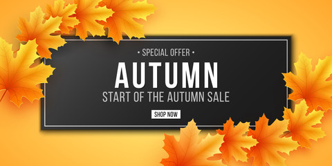 Wall Mural - Autumn sale. Invitation gift card. Web banner with lettering. Seasonal poster with autumn leaves. Maple leaf. Seasonal sale. Vector illustration