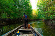 © phungatanee - long tail boat of fisherman travel in mangrove forest in morning,Thailand,Phang Nga,Koh Yao Yai