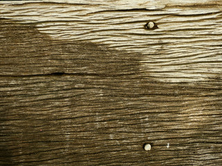 Canvas Print - old wood board with nail