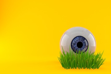 Canvas Print - Eye ball on grass