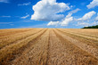 © fotowunsch - stubbelfield after harvest on sunny day