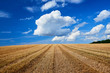 © fotowunsch - stubbelfield after harvest on sunny day