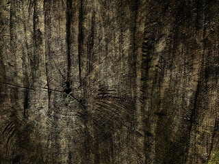 Sticker - grunge wood of stump texture