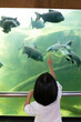 Leinwandbild Motiv Asian Little Chinese Girl watching fishes