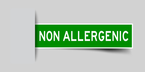 Poster - Label sticker green color in word non allergenic that inserted in gray background