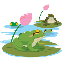 Green Frog In Different Pose. Vector Illustration.