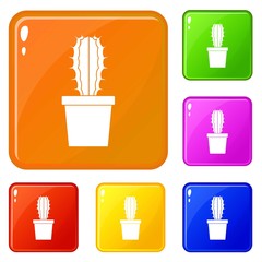 Wall Mural - Cactaceae cactus icons set collection vector 6 color isolated on white background