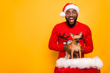 Wall Mural - Portrait of his he nice attractive cheerful cheery glad positive guy holding in hands toy terrier isolated over bright vivid shine yellow background