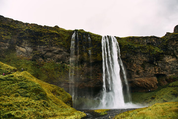 Wall Mural - Fantastic Seljalandsfoss waterfall in Iceland during sunny day.