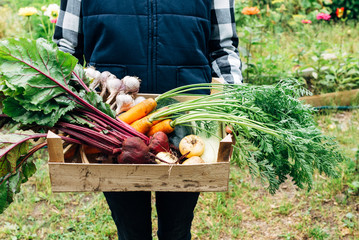 Harvesting