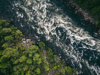 Wall Mural - Mountain river with rapids and waterfalls coniferous forest in summer. Aerial top view