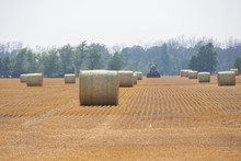 Bales Of Straw Being Harvested By Tractor On Farmland, Selective Focus On Straw