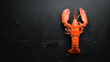 Boiled lobster on black background. Top view. Free copy space.