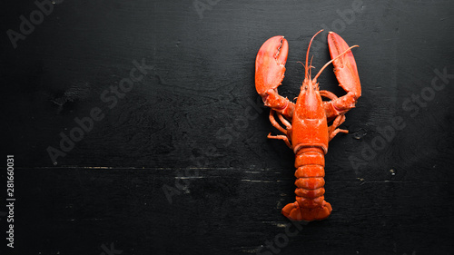 Fotografía Boiled lobster on black background. Top view. Free copy space.