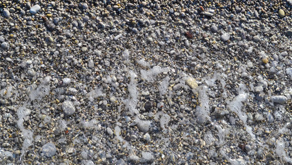 Wall Mural - Abstract background texture, Colorful sea stones in water, top view