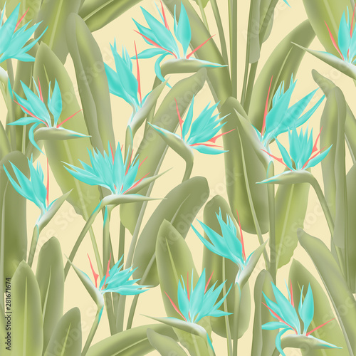 Strelitzia reginae tropical flower vector seamless pattern.