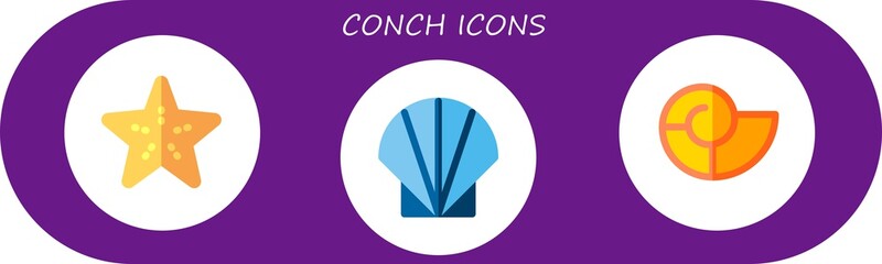 Wall Mural - conch icon set