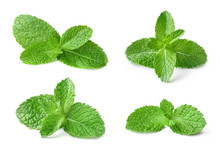 Collection Of Fresh Mint Leaves, Isolated On White Background