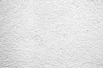 Poster - Subtle halftone vector texture overlay. Monochrome abstract splattered background.