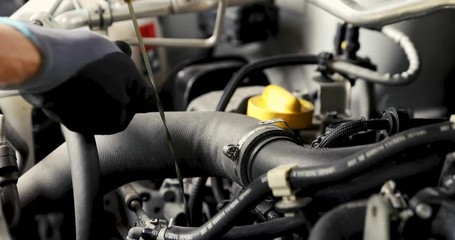 Wall Mural - mechanic in garage doing car engine oil change and level inspection