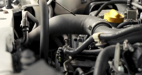 Fototapete - mechanic's hand pulling out car engine oil level dip stick 4k dolly shot