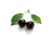 Black cherries with green leaves on a white background, horizontal background
