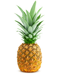 pineapple isolated on white background, clipping path, full depth of field