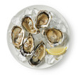 plate of fresh oysters on white background