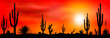 Mexican desert sunset cacti. Sunset in the Mexican desert. Silhouettes of cacti and other plants of stony desert against the backdrop of a sunset. Desert landscape with cactuses