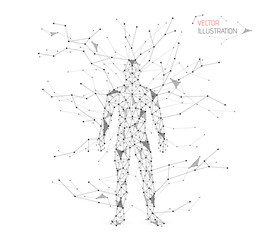 human body low poly wireframe. man abstract. particle explosion.